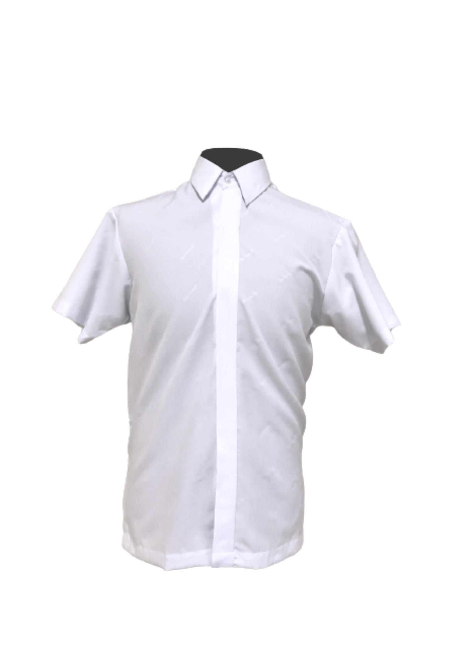 College Polo Barong - 3XL - 5XL Main Image